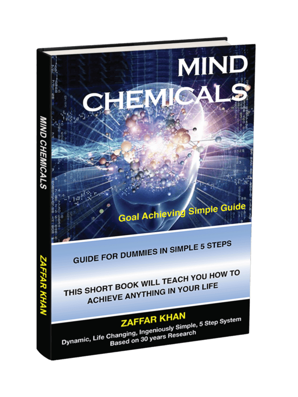 Mind Chemicals book
